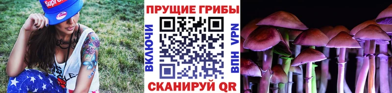 даркнет сайт  Кызыл  Псилоцибиновые грибы мухоморы 