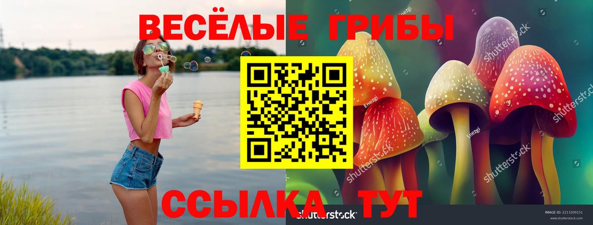 Псилоцибиновые грибы Magic Shrooms Кызыл